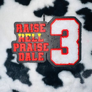 May include: Black and red felt patch with the text "RAISE HELL PRAISE DALE" in white and yellow lettering. A black felt number "3" is on the right side of the patch.