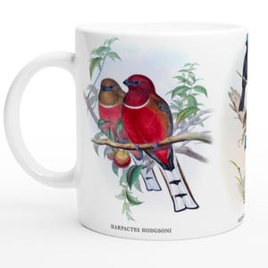 May include: White ceramic mug with a detailed illustration of two birds perched on a branch with leaves and small fruits. The birds have red and brown plumage. The mug has a curved handle and the text "HARPACTES HODGSONI".