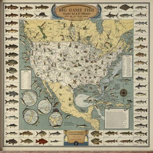 Op de afbeelding: Een ingelijste vintage kaart getiteld "Big Game Fish Graphic Map" met illustraties van verschillende vissoorten. De kaart toont de Verenigde Staten met gedetailleerde markeringen en een lichtbruine houten lijst.
