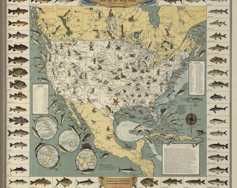 Fresh and Salt Water Big Game Fishing illustraded vintage map. Fine art print