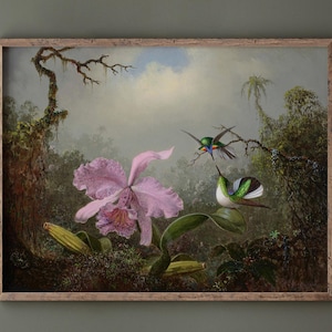 Może przedstawiać: Oprawiony, zabytkowy wydruk botaniczny przedstawiający dużą różową orchideę i dwa kolibry. Grafika ma naturalistyczny styl z bujnymi zielonymi liśćmi i miękkim, pochmurnym tłem. Rama jest drewniana.