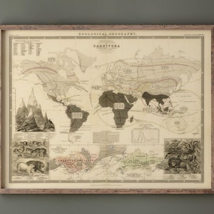 Może przedstawiać: Oprawiona mapa w stylu vintage zatytułowana "Geografia Ekologiczna" z widocznym słowem "Carnivora". Mapa zawiera szczegółowe ilustracje kontynentów, oceanów i rysunków zwierząt. Rama jest w kolorze jasnobrązowym.
