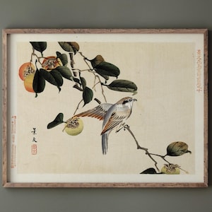 Pájaro y caqui de Matsumura Keibun, 1892. Reproducción de lámina artística. Póster mate.