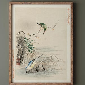 Kingfisher looking at bird near water by Kano Tsunenobu, 1893 Fine art print reproduction. Matte poster