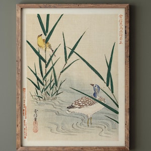 Water bird looking at yellow songbird by Kano Tsunenobu, 1893. Fine art print reproduction. Matte poster