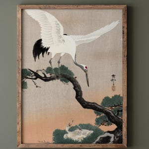 Japanese crane on pine branch by Ohara Koson Ukiyo-e Fine Art Print reproduction Matte Poster