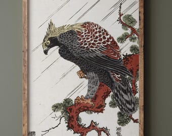 Eagle on pine branch in rain, by Isoda Koryusai, Ukiyo-e Fine Art Print, Matte Poster