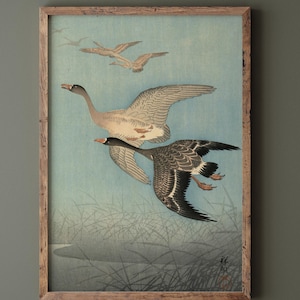 Ohara Koson White fronted geese in flight. Ukiyo-e fine art print reproduction. Wall art.