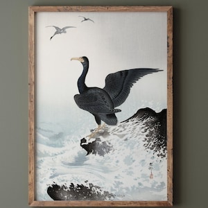 Ohara Koson Corvo-marinho-de-cara-vermelha sobre rocha, xilogravura Arte Ukiyo-e Reprodução de pôster fosco