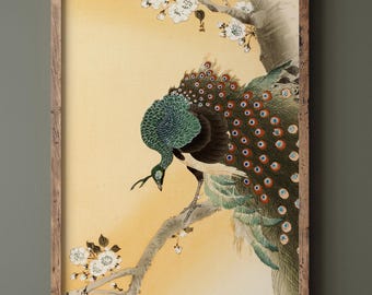 Pauw in kersenboom van Ohara Koson. Ukiyo-e fine-art printreproductie. Matte poster
