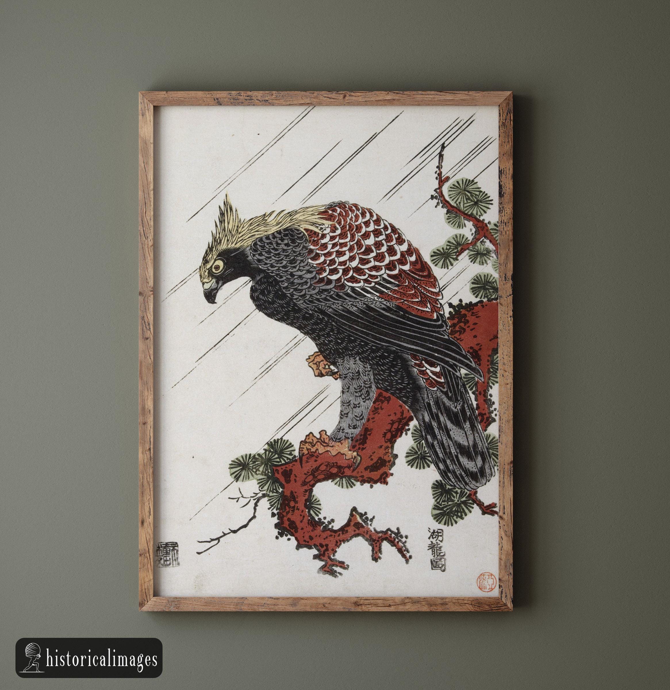 Aigle sur une branche de pin sous la pluie, par Isoda Koryusai, impression d'art Ukiyo-e, poster mat