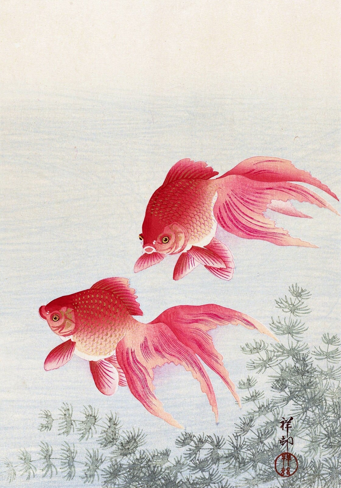 小原古邨作「二匹の金魚」浮世絵版画、マットポスター - Etsy 日本
