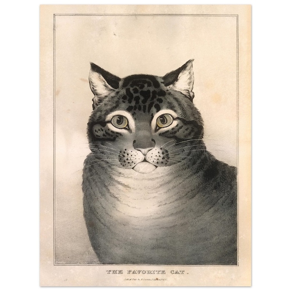 The Favorite Cat poster  Author: Nathaniel Currier 1838