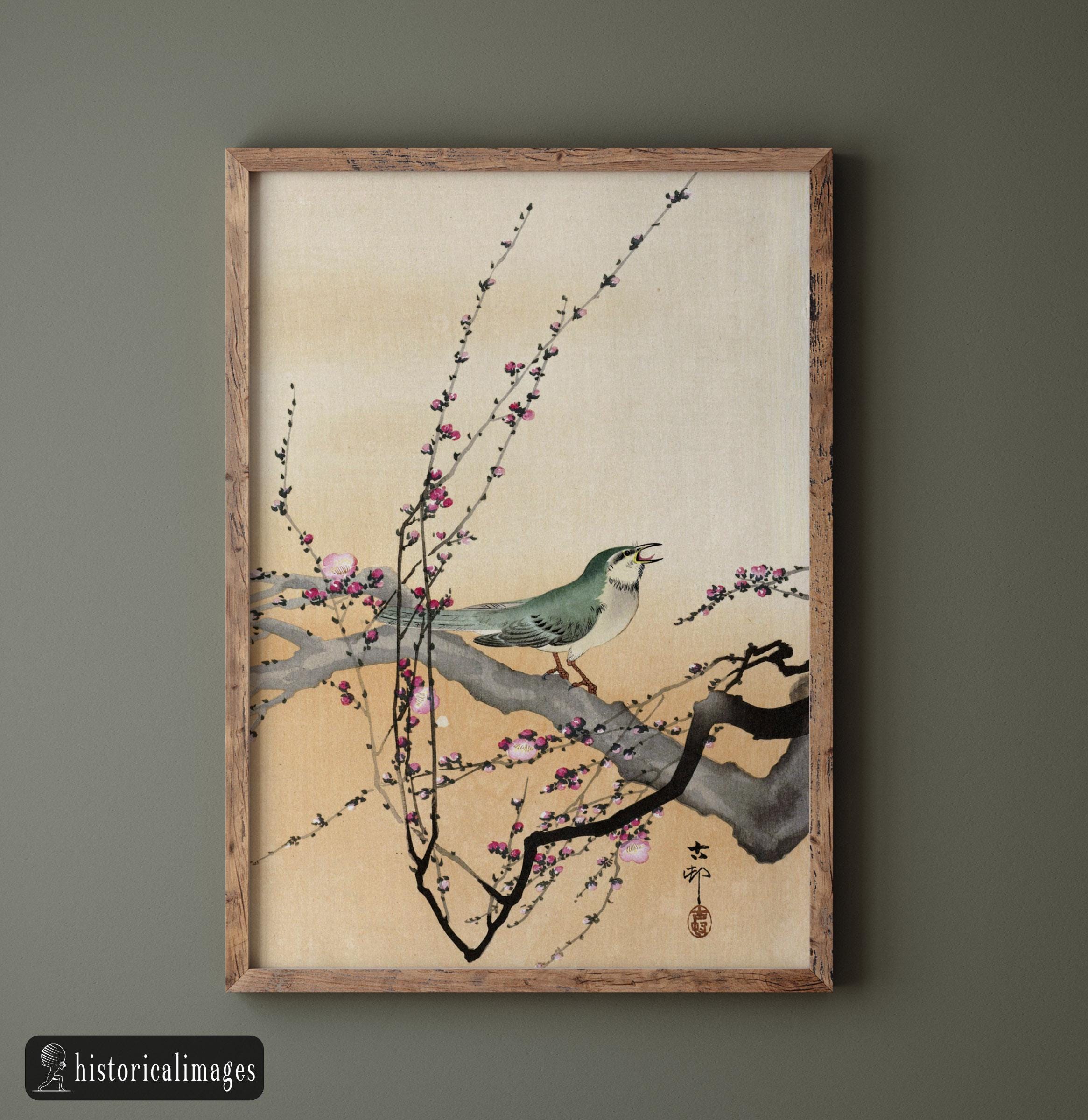 小原古邨作「鳴鳥と梅」。浮世絵版画複製。マットポスター - Etsy 日本