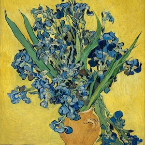 Irises by Vincent Van Gogh