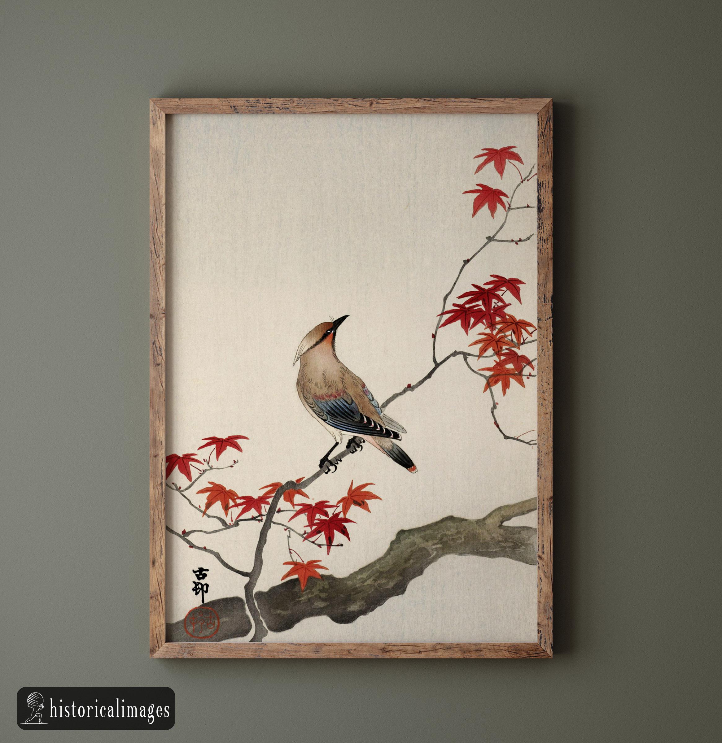 Impression Sur Toile D'art Japonais Ohara Koson - Formats A1 A2 A3 A4, Cadre Bois, Prêt à Accrocher