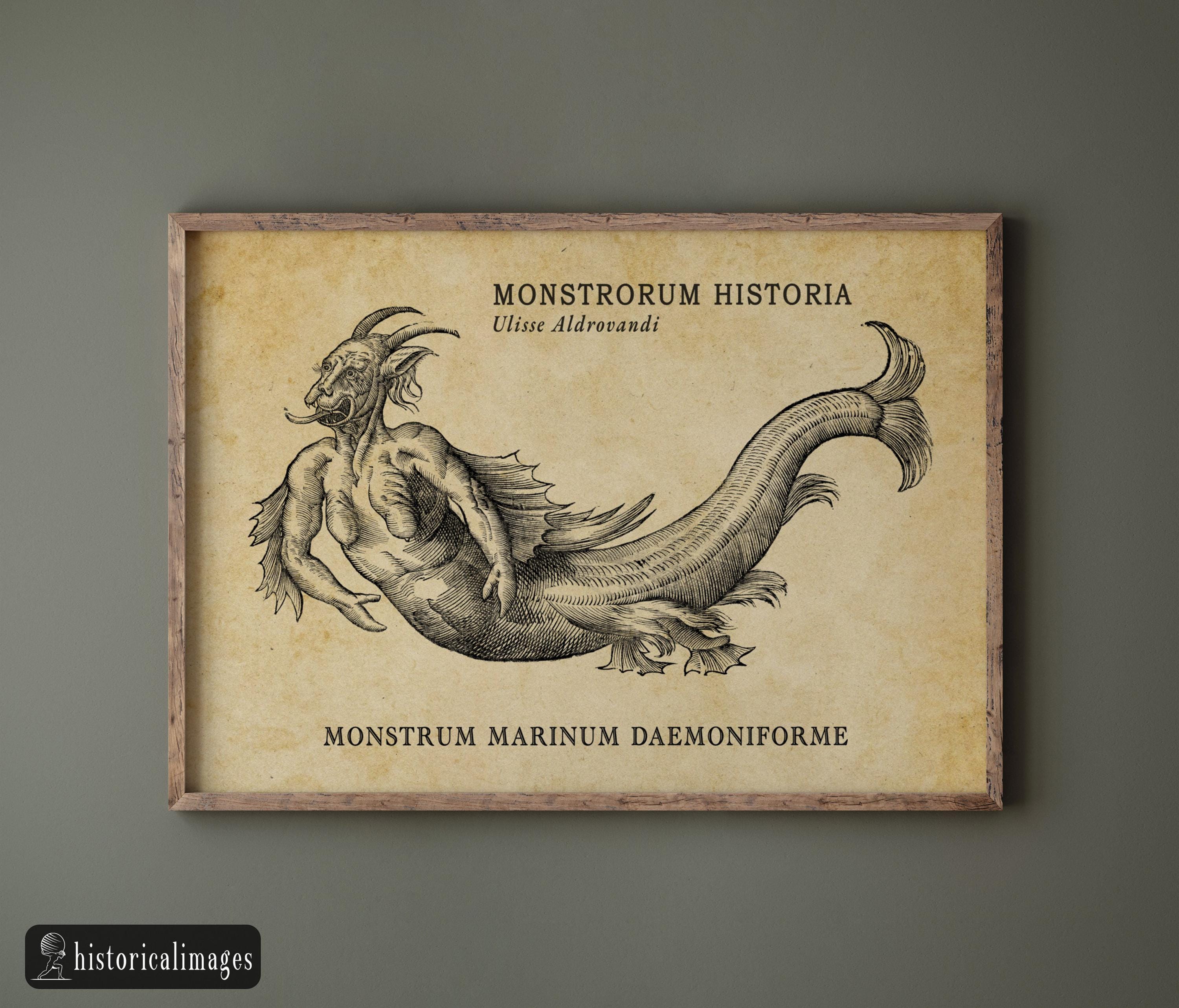 Monster Sea Demon illustration drawed by Aldrovandi for his Monstrorum ...