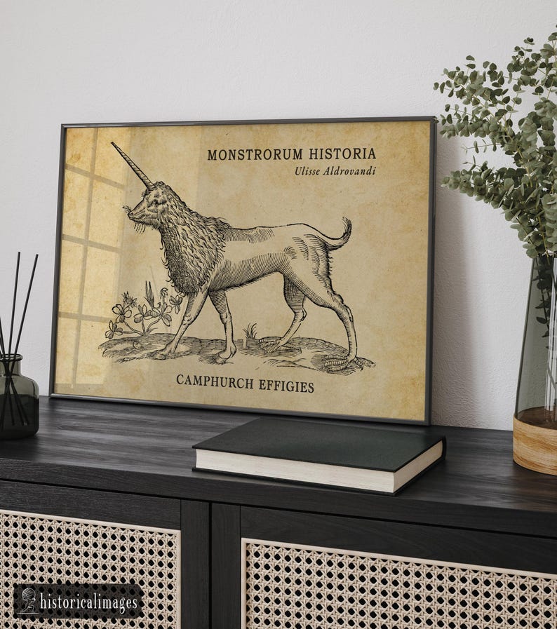 Unicorn illustration drawed by Aldrovandi for his Monstrorum Historia ...