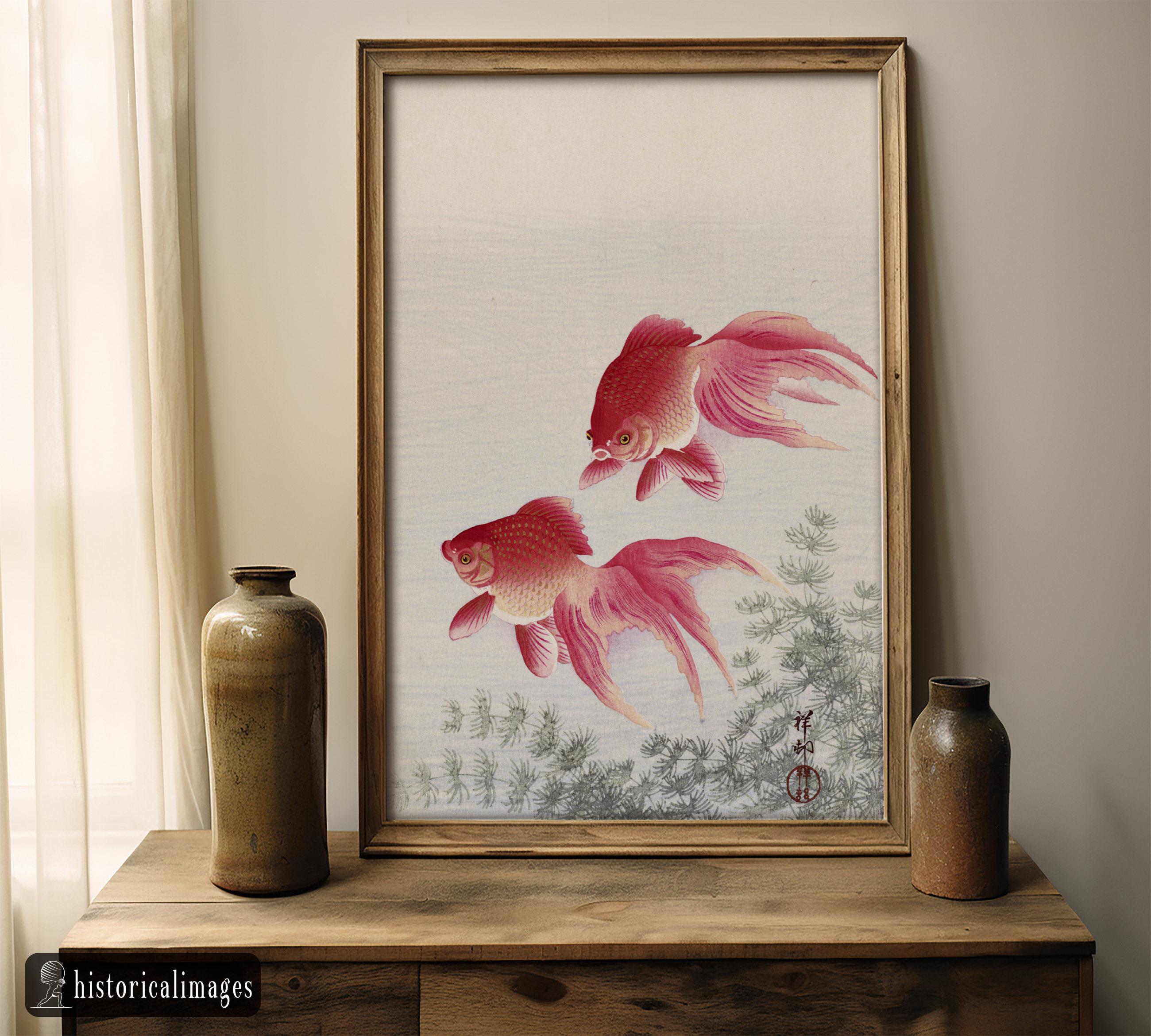 小原古邨作「二匹の金魚」浮世絵版画、マットポスター - Etsy 日本