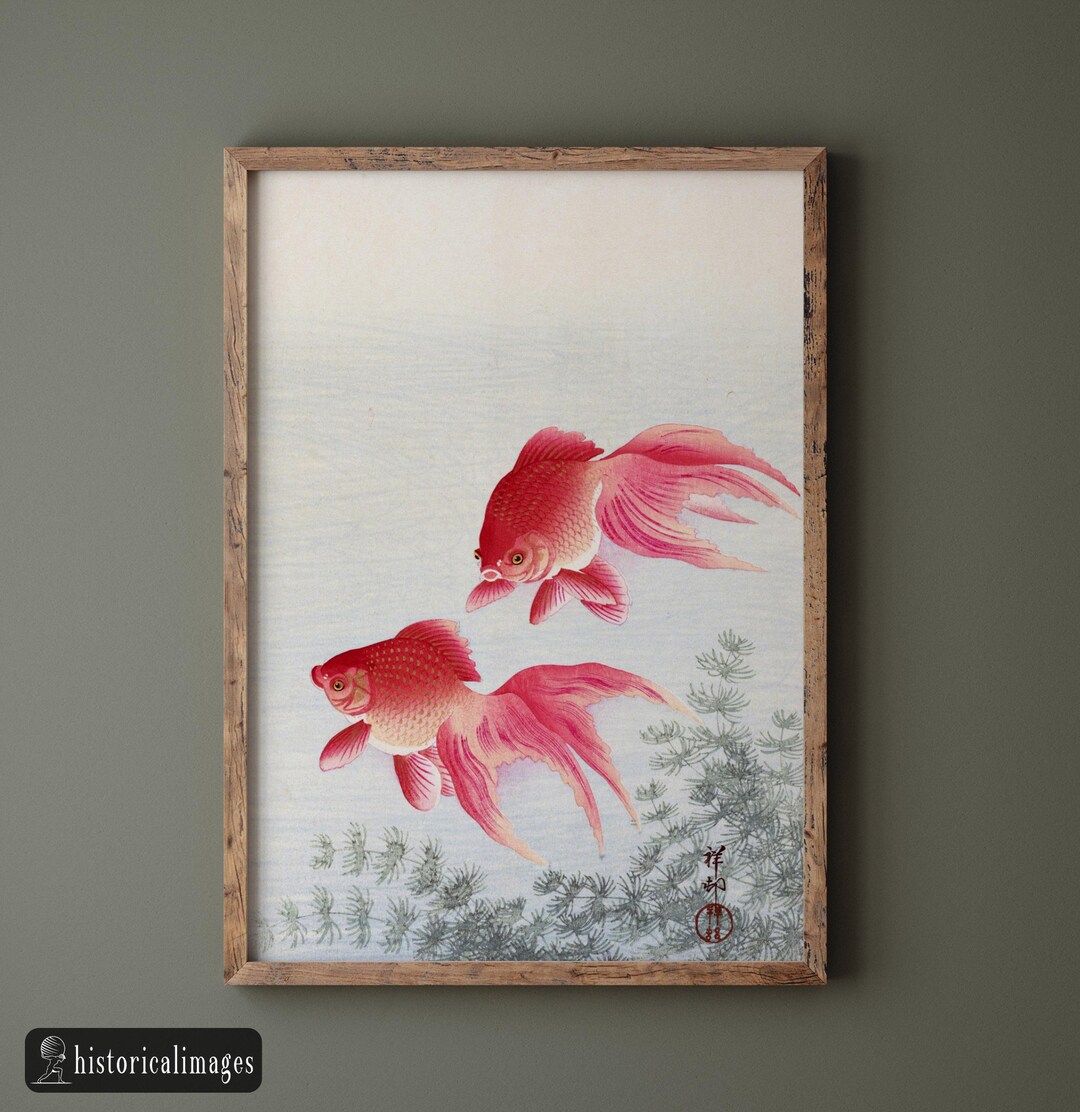 小原古邨作「二匹の金魚」浮世絵版画、マットポスター - Etsy 日本