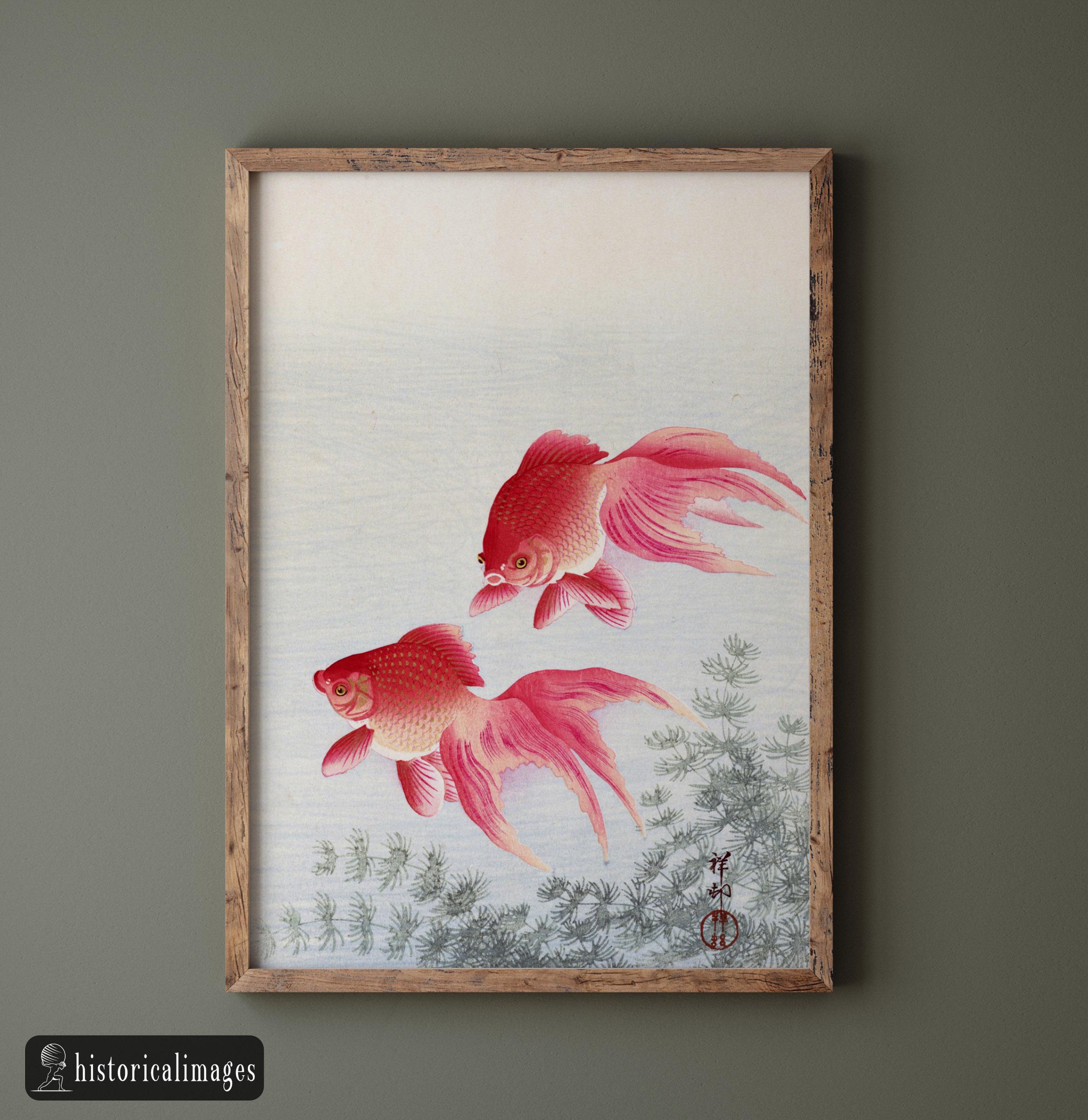 小原古邨作「二匹の金魚」浮世絵版画、マットポスター - Etsy 日本