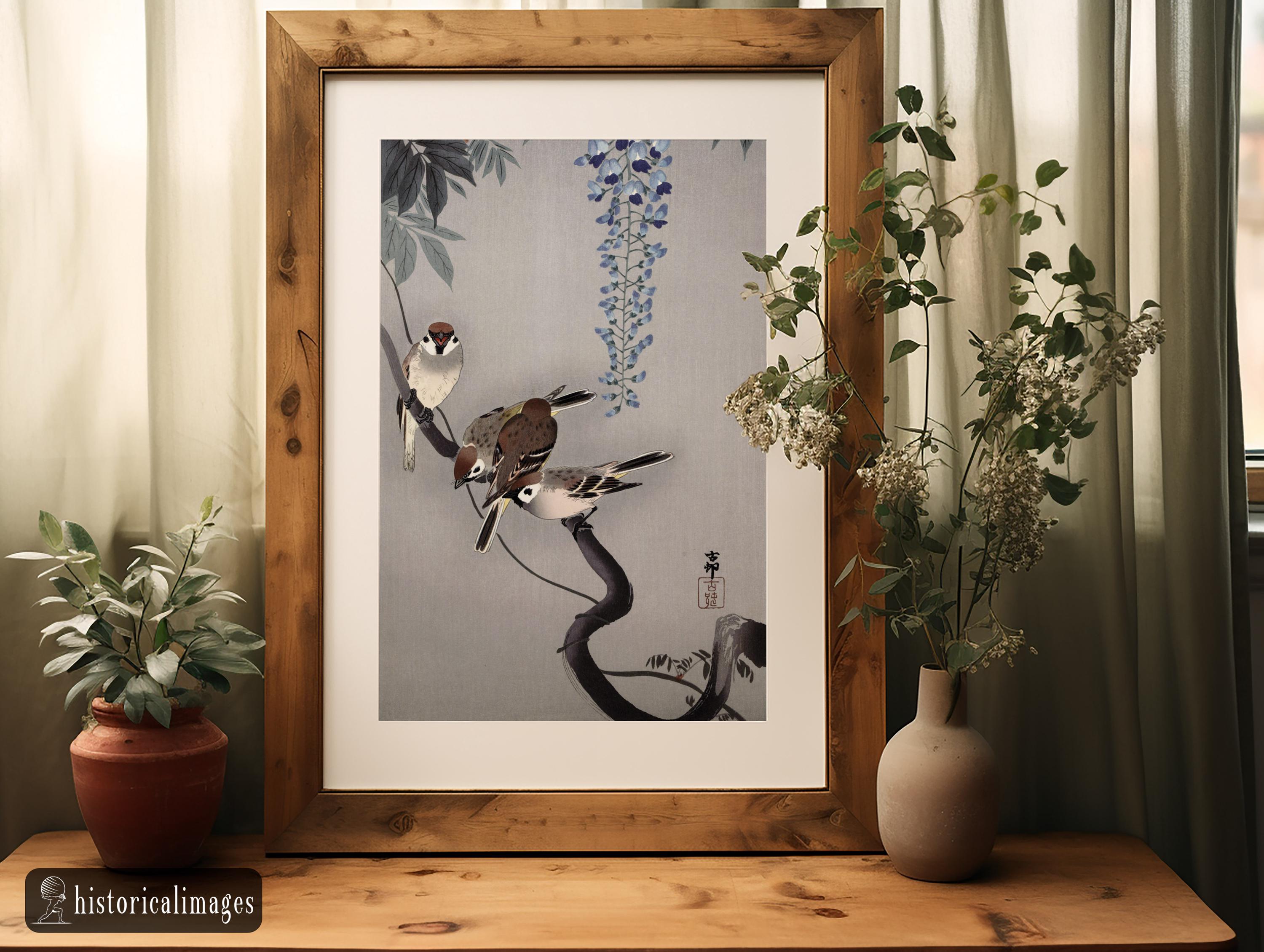 Ring Sparrows at Wisteria by Ohara Koson Ukiyo-e Art. Woodblock