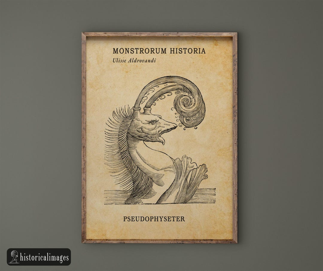 Sea Monster Illustration Drawed by Aldrovandi for His Monstrorum ...