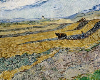 Enclosed Field with Ploughman by Vincent Van Gogh