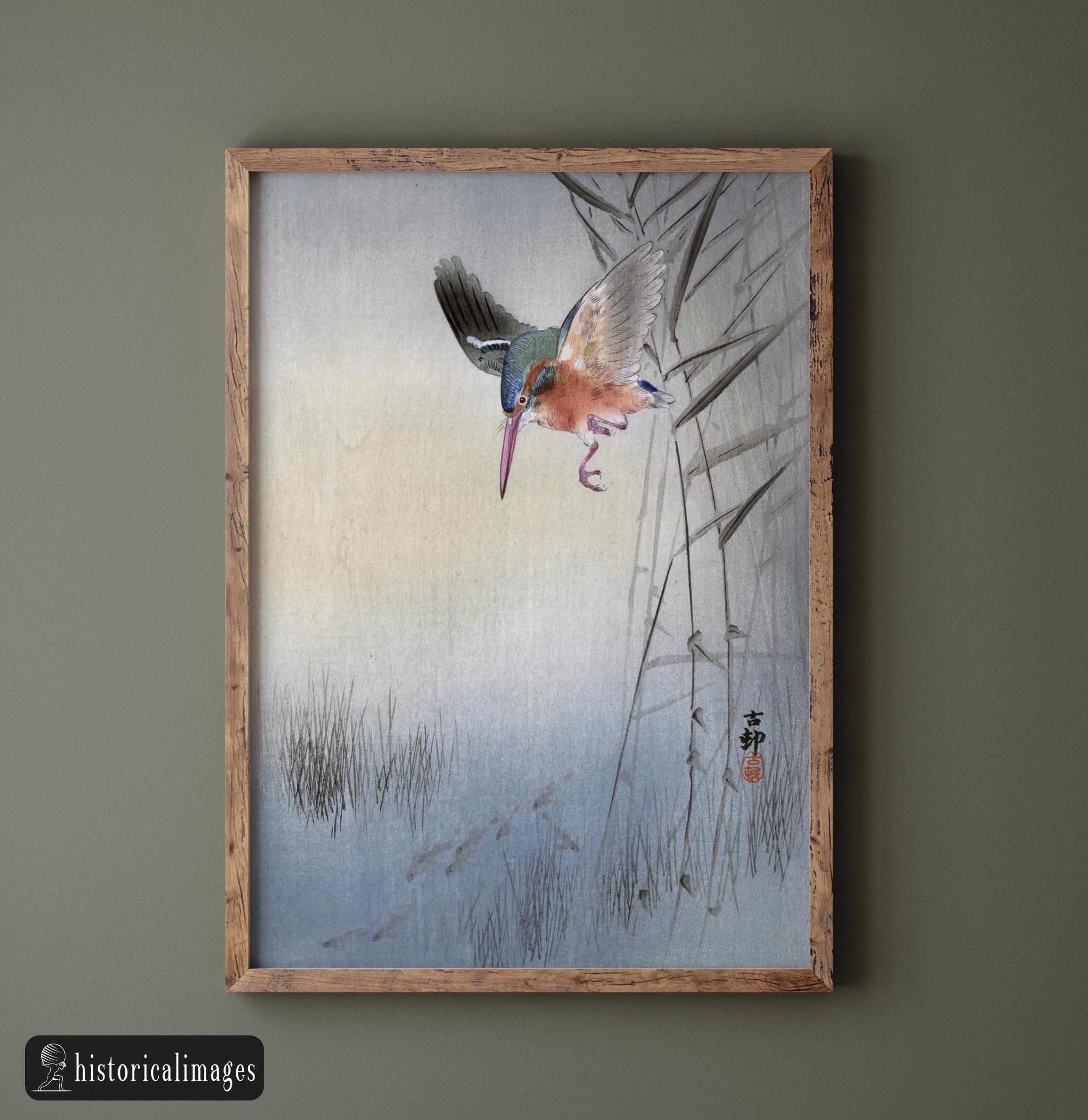 Kingfisher Hunting Fish by Ohara Koson Ukiyo-e Woodblock Print