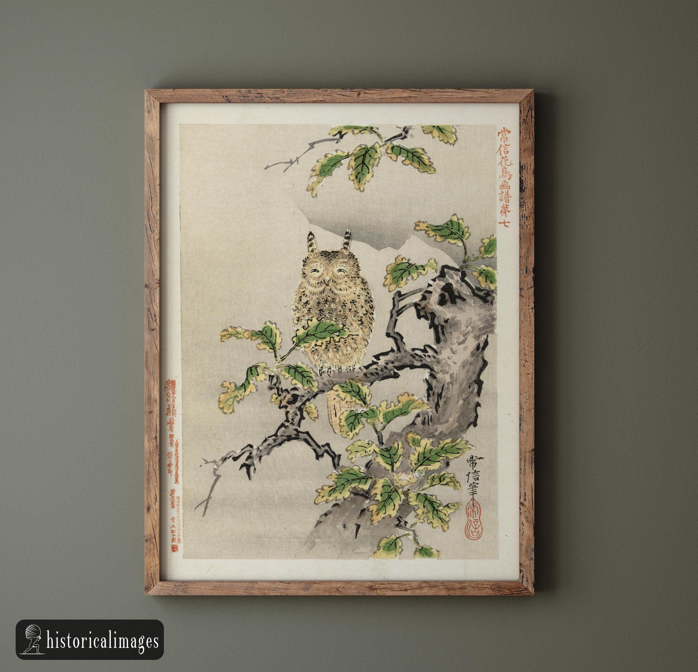 Owl on branch by Kano Tsunenobu, 1893. Fine art print reproduction. Matte poster