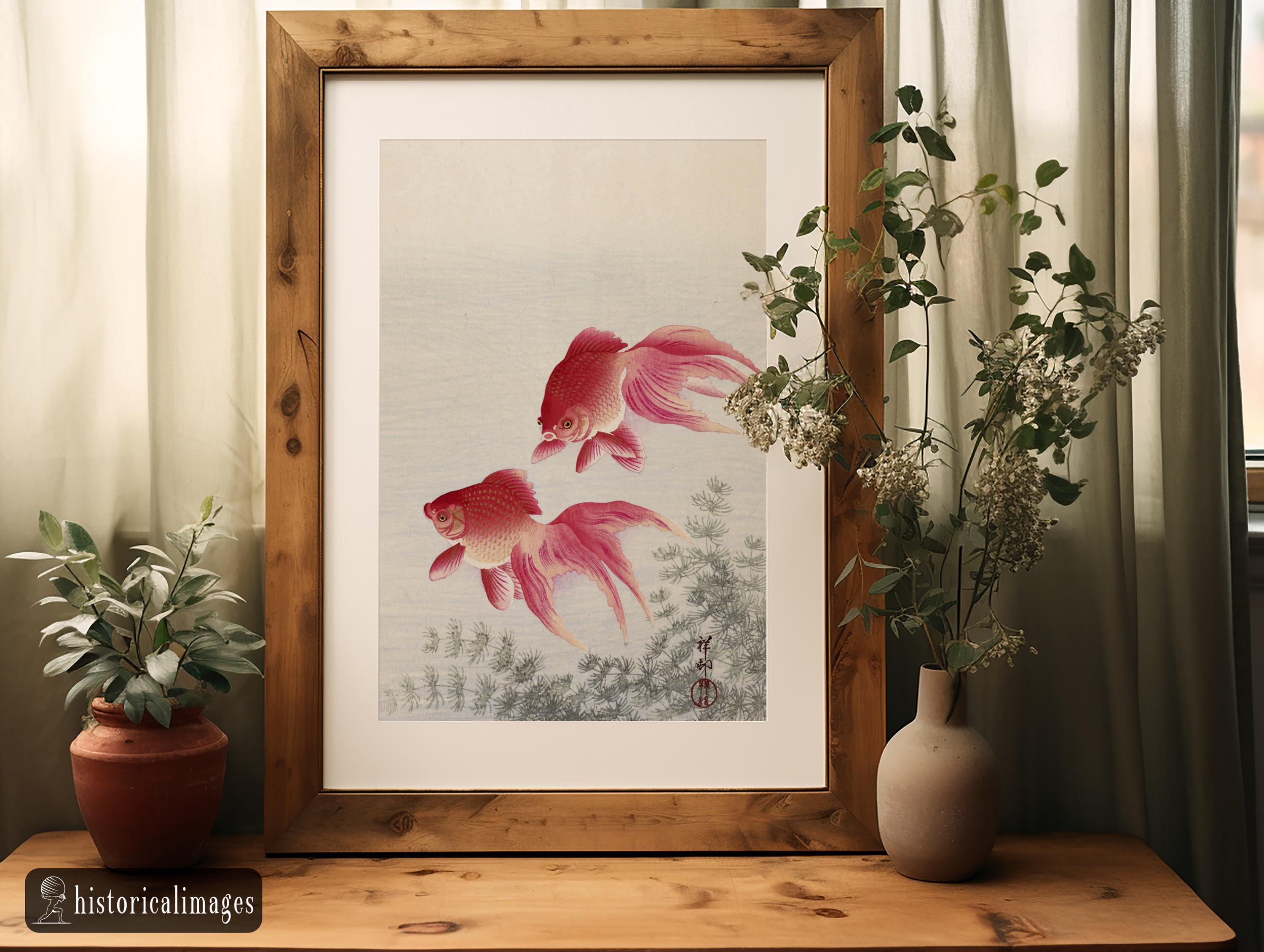 小原古邨作「二匹の金魚」浮世絵版画、マットポスター - Etsy 日本