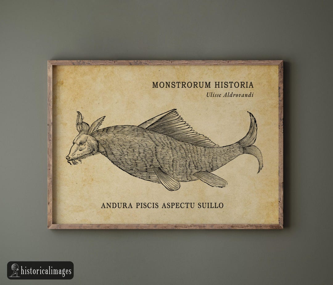 Monster Illustration Drawed by Aldrovandi for His Monstrorum Historia ...