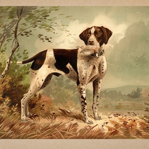 Hunting dog vintage painting poster with partridge in mouth