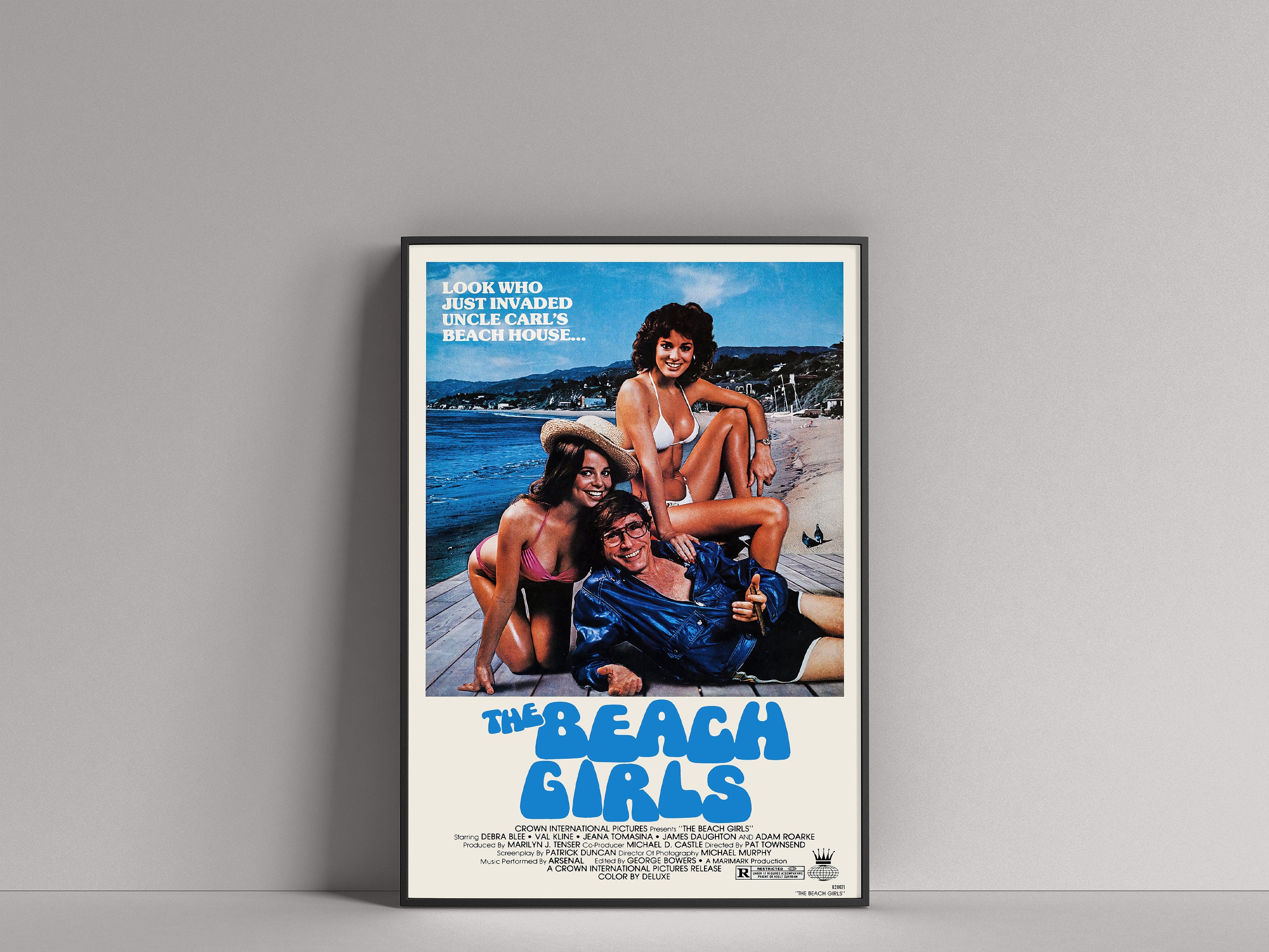Beach Girls the 1982 11x17 Movie Film POSTER debra Blee