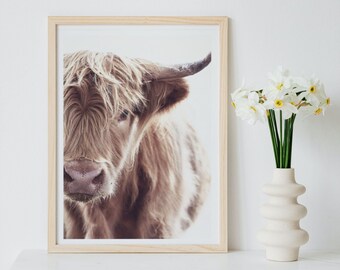 Highland Cow Coo Print, Wall art, Self Print, Digital Download