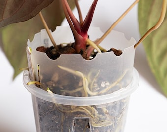 Pot Extender For Anthuriums