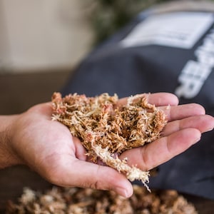 Sphagnum Moos für Aroids & Kletterpflanzen Pflanzenmoos-Blumenerde mit hoher Wasserbindung und natürlichem pH-Wert 300g / 13,5L Bild 1