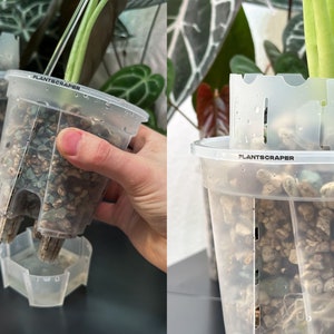 Könnte beinhalten: Transparente Pflanzentöpfe mit dem Text "PLANTSCRAPER" sind mit kleinen, hellfarbigen Steinen und einem grünen Pflanzenstiel gefüllt. Die Töpfe sind so konzipiert, dass sie in eine transparente Kunststoffschale passen. Das Bild zeigt die Handhabung der Töpfe.