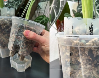 Pot aroïde ventilé transparent à arrosage automatique en plastique non toxique pour plantes d'intérieur exotiques. Flux d'air et drainage améliorés pour les aroïdes