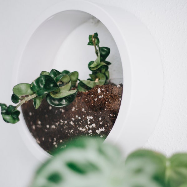 Stilvoller runder Übertopf zum Aufhängen an der Wand für die Zimmerpflanzendekoration – Pflanzentopf-Display für den Innenbereich, Wurzelbeobachtungsglas, an der Wand hängende Zimmerpflanzen – Weiß