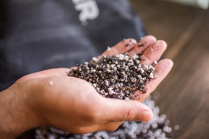 Puede incluir: Primer plano de una mano que sostiene una mezcla de tierra para macetas marr&oacute;n oscuro y perlita blanca. El suelo est&aacute; compuesto por peque&ntilde;as part&iacute;culas y trozos m&aacute;s grandes. El fondo est&aacute; borroso, con una bolsa gris oscuro y una superficie de madera.