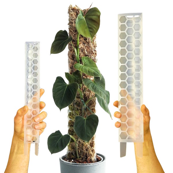 Perche en mousse empilable pour plantes grimpantes comme Monstera, Philodendron, Pothos et plantes d'intérieur grimpantes dans un tuteur en sphaigne pour acariens - DIY