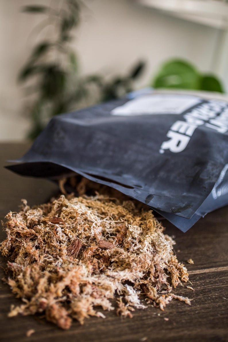 Peut inclure: Un sac noir partiellement ouvert, laissant appara&icirc;tre un tas de sphaigne brun et beige. La mousse est grossi&egrave;re et fibreuse, avec des morceaux d'&eacute;corce visibles. L'arri&egrave;re-plan est flou, avec une surface en bois.