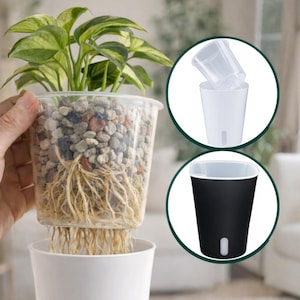 Könnte beinhalten: Ein durchsichtiger selbstbewässernder Pflanztopf aus Kunststoff mit einer grün-gelben Pflanze. Der Topf hat einen weißen Sockel und ist mit kleinen Steinen gefüllt. Die Wurzeln der Pflanze sind sichtbar. Zusätzliche Bilder zeigen den Innen- und Außentopf.