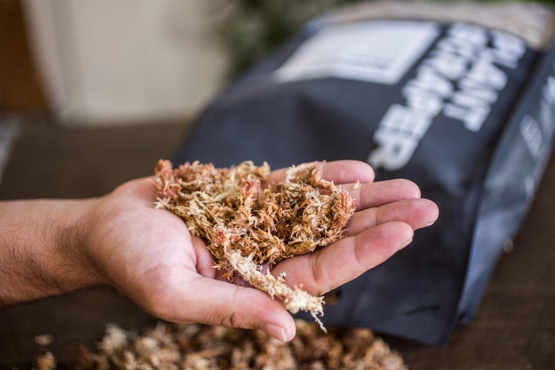 Sphagnum Moos für Aroids & Kletterpflanzen Pflanzenmoos-Blumenerde mit hoher Wasserbindung und natürlichem pH-Wert 300g / 13,5L Bild 1