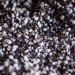 Puede incluir: Primer plano de tierra para macetas con perlita blanca mezclada. La tierra es de color marr&oacute;n oscuro y la perlita es peque&ntilde;a e irregular, creando una apariencia texturizada. Ideal para jardiner&iacute;a y cuidado de plantas.