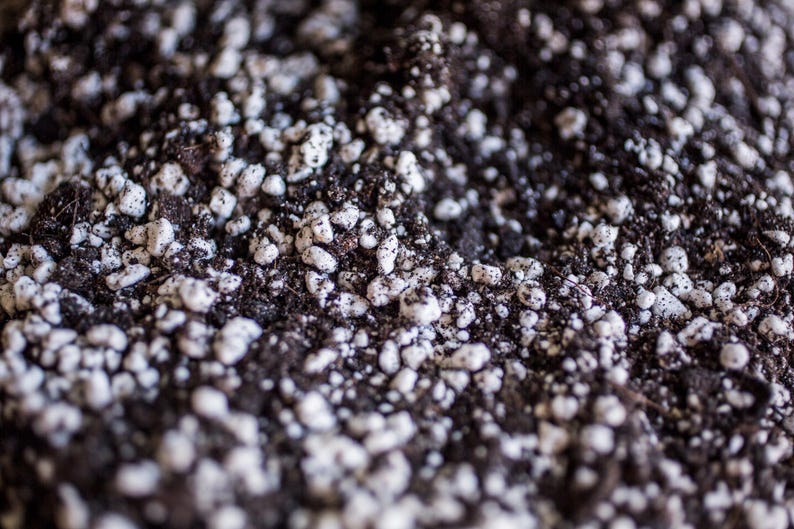 Puede incluir: Primer plano de tierra para macetas con perlita blanca mezclada. La tierra es de color marr&oacute;n oscuro y la perlita es peque&ntilde;a e irregular, creando una apariencia texturizada. Ideal para jardiner&iacute;a y cuidado de plantas.