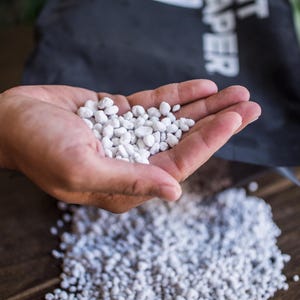 Pode incluir: Uma mão segurando um monte de pequenos pellets brancos granulares. Alguns pellets estão caindo em uma superfície de madeira escura. Uma sacola preta com texto branco é visível ao fundo.