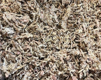 Sphagnum Moos für Kletterpflanzen - Natürlich und Umweltfreundlich | Ideal für Moosstangen, Terrarien und Pflanzenwände