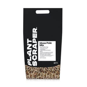 Peut inclure: Un sac noir de m&eacute;lange pour tuteur en mousse Plant Scraper, Top Performer. Le sac pr&eacute;sente du texte blanc et une poign&eacute;e d&eacute;coup&eacute;e. Le fond du sac est rempli de mousse brune. Le sac contient 8,5 L de mousse.